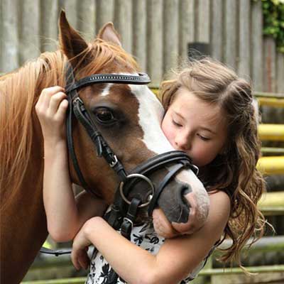 Brookie Build lifestyle shot - farmyard horse