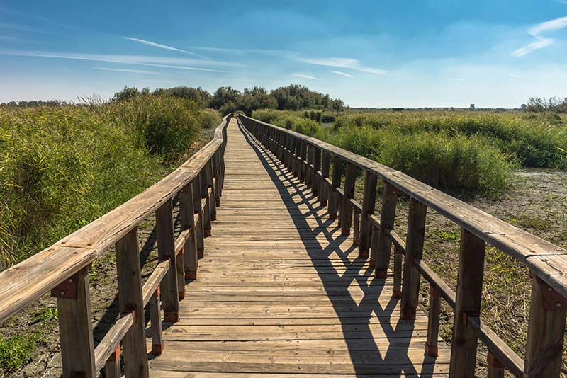 concepts_deckboardwalk